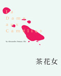茶花女 - [法]小仲马 
